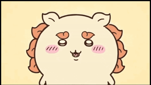 What I hope to accomplish in the future (hopefully)