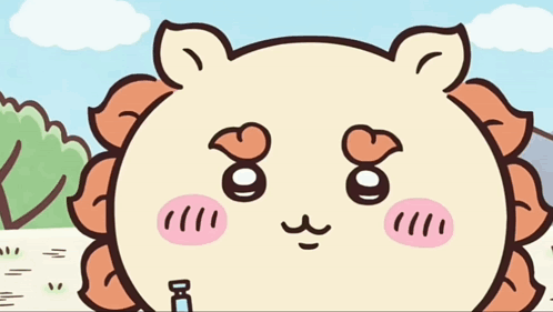 Why Math + CS is so important to me